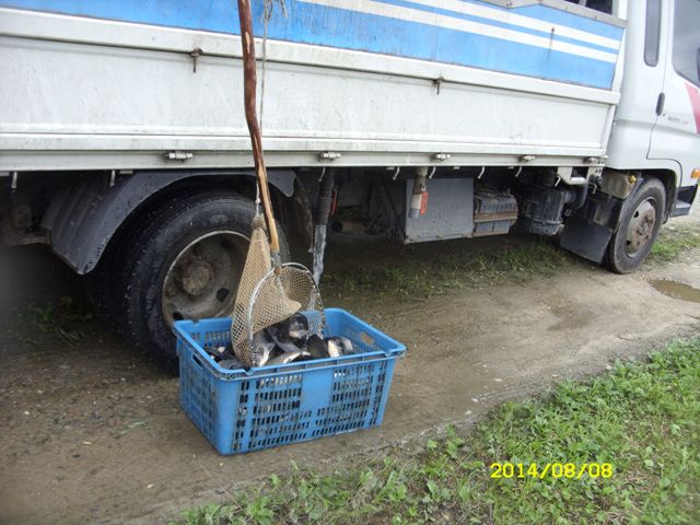 SDC14832.jpg