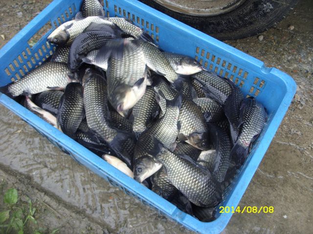 SDC14834.jpg
