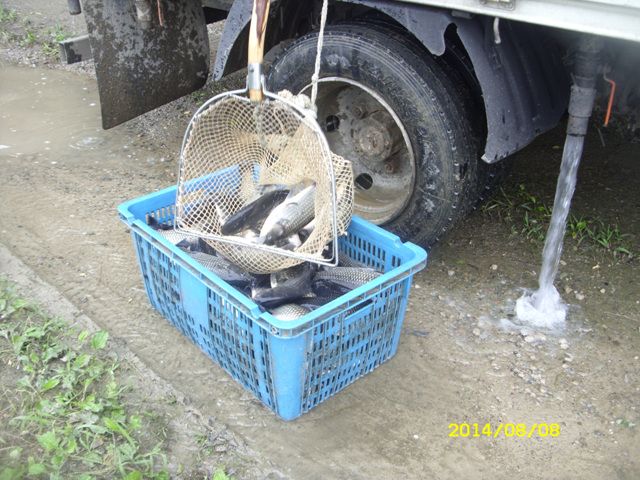 SDC14835.jpg