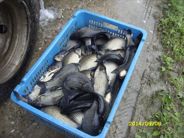 SDC14837.jpg