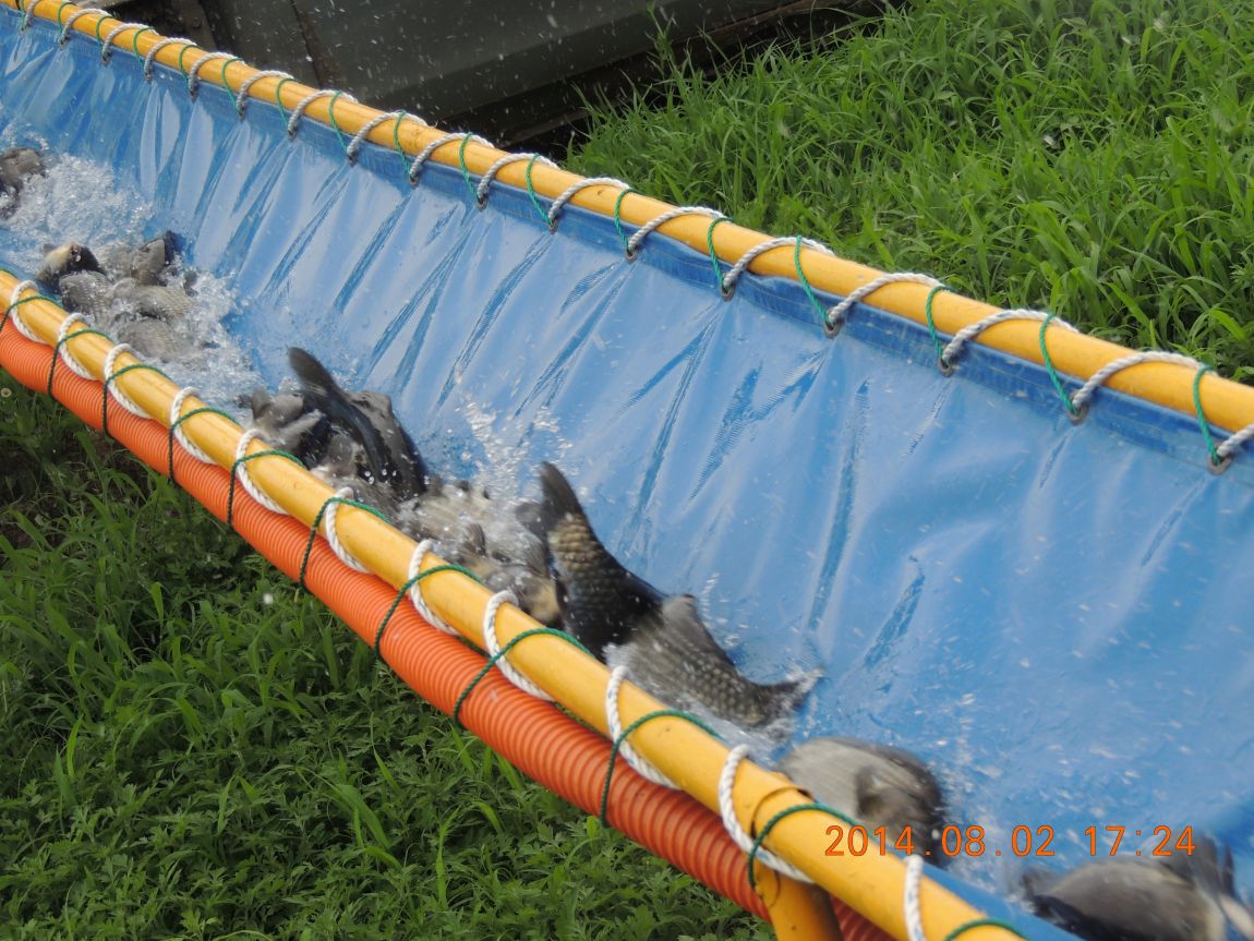 DSCN2318.JPG