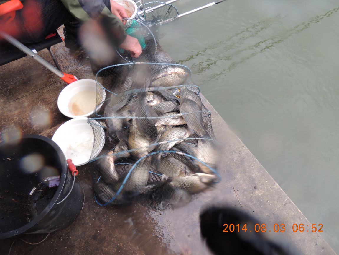 DSCN2329.JPG
