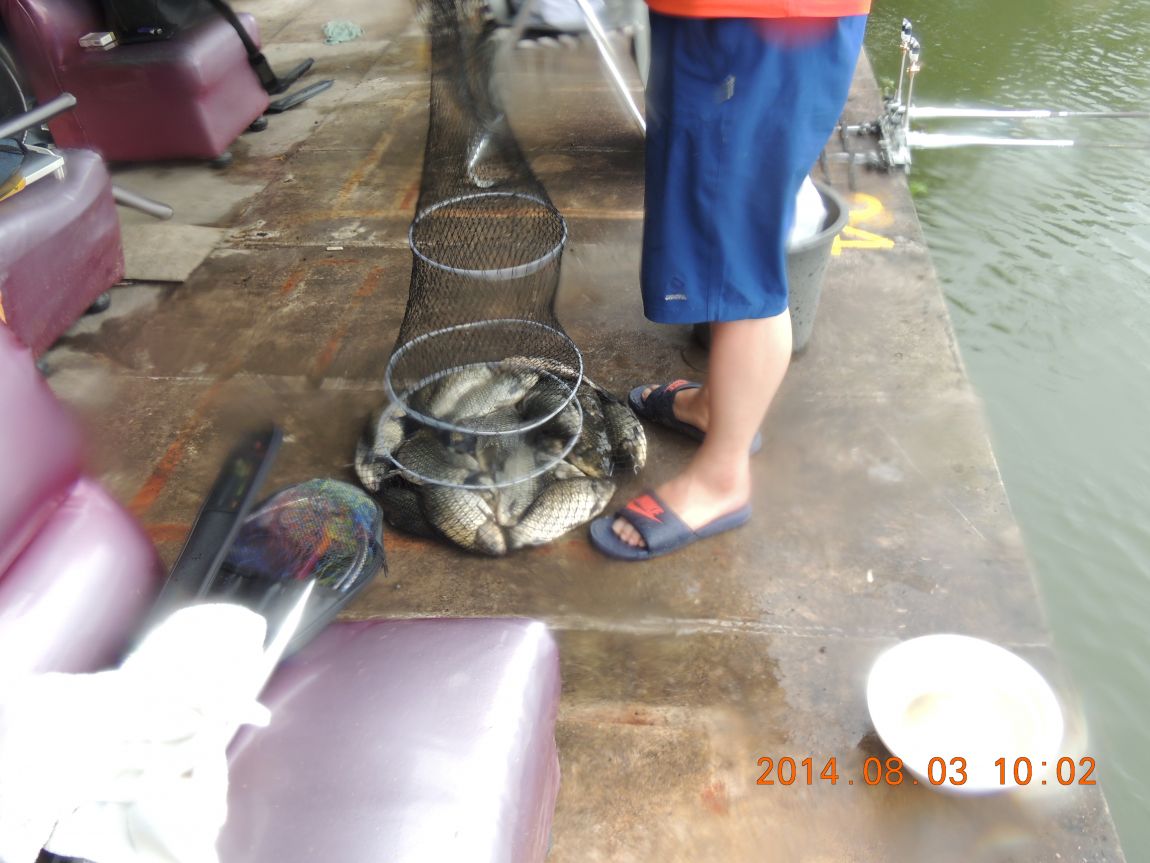 DSCN2330.JPG