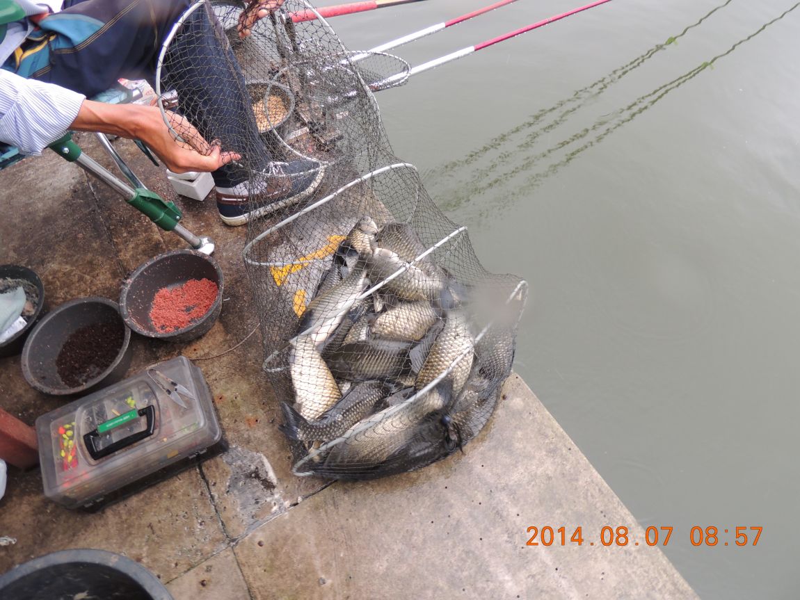 DSCN2358.JPG