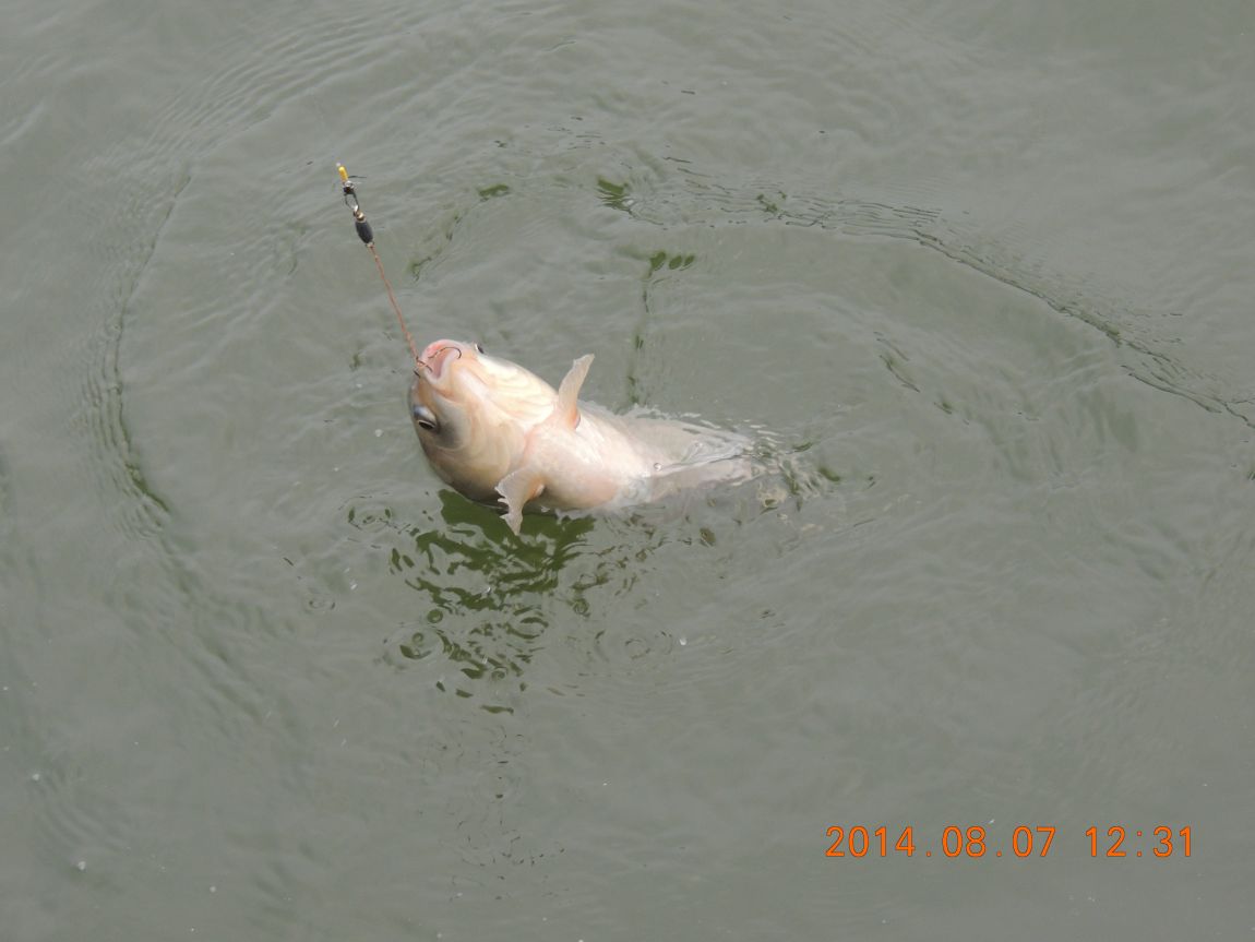 DSCN2361.JPG