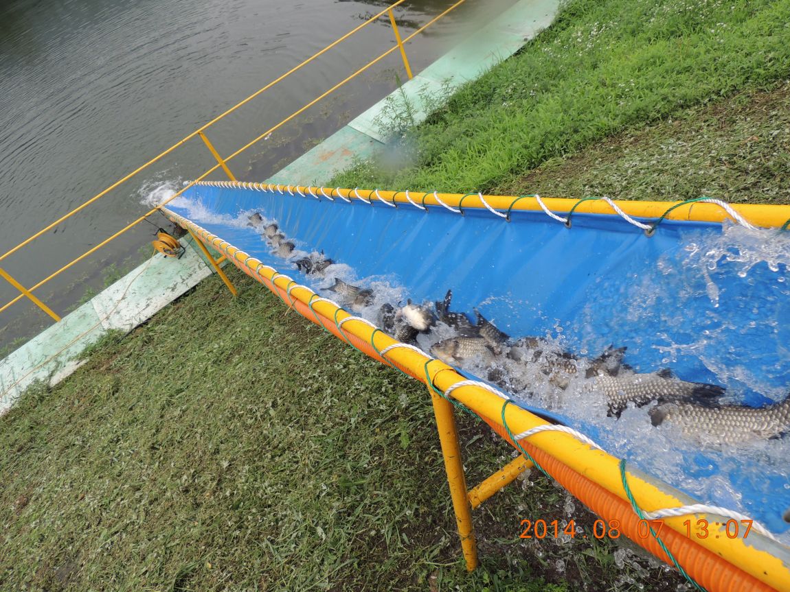 DSCN2368.JPG