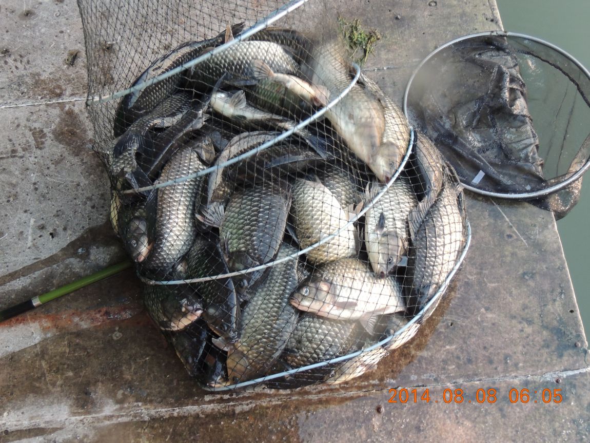 DSCN2377.JPG