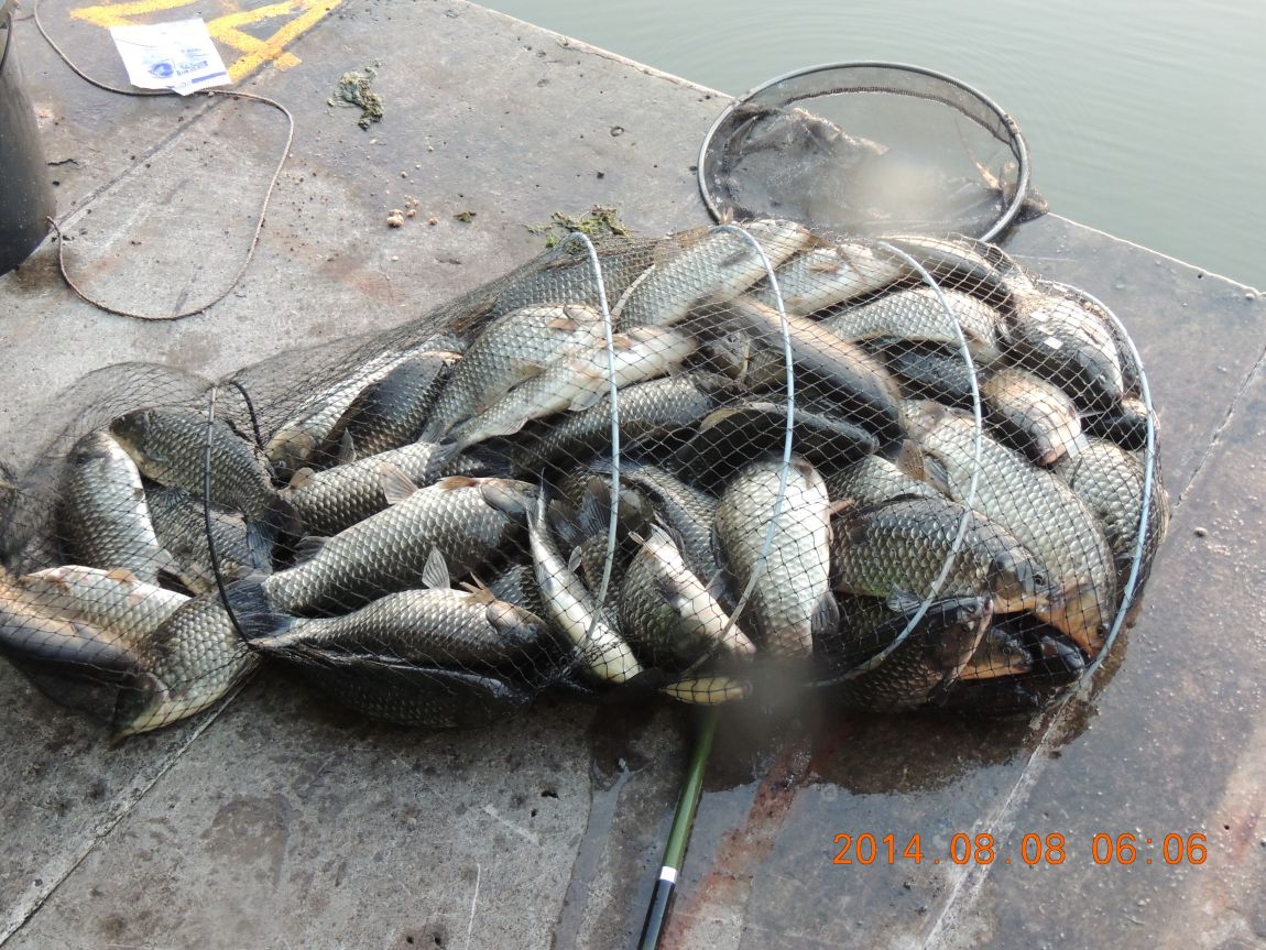 DSCN2378.JPG