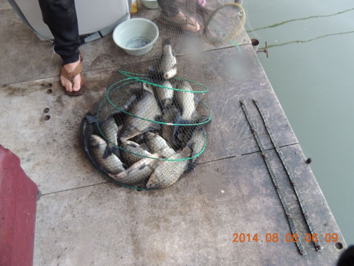 DSCN2379.JPG