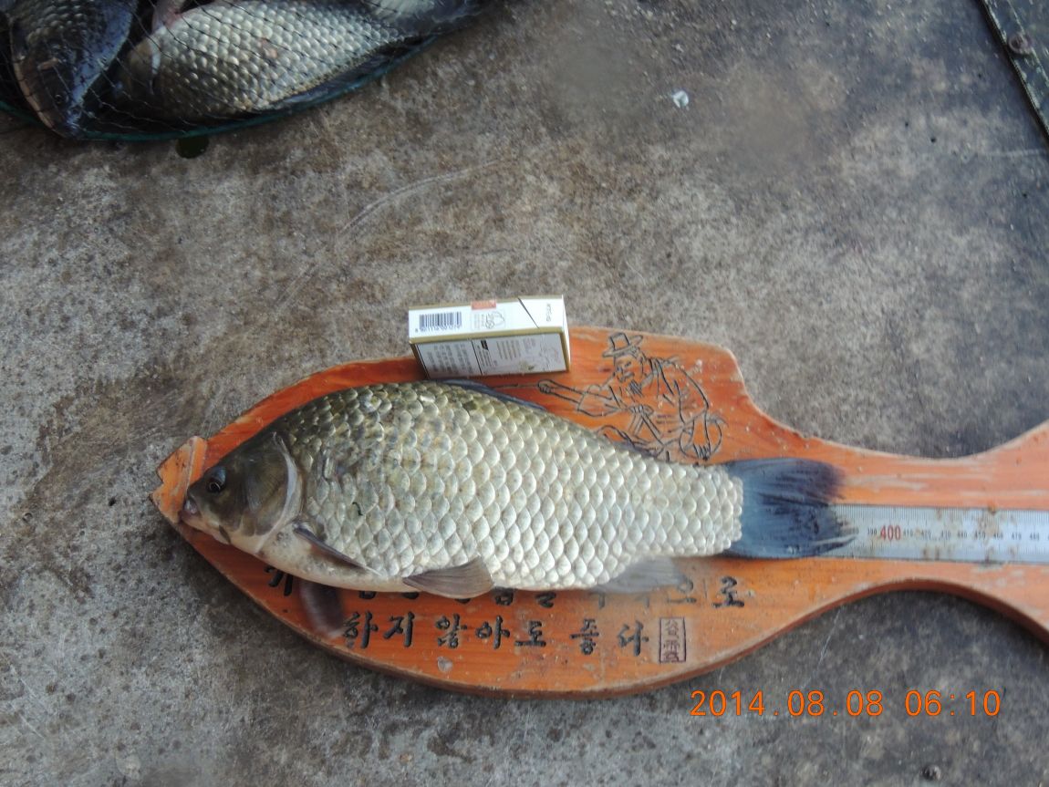 DSCN2380.JPG