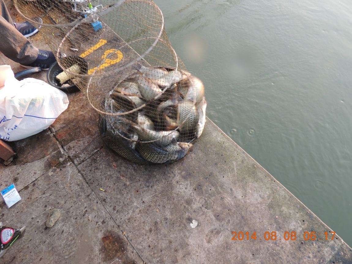 DSCN2381.JPG
