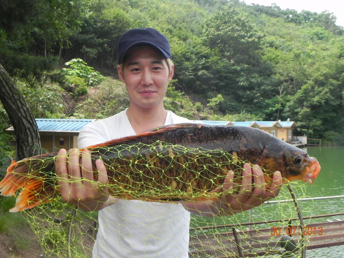 DSCN7745.JPG