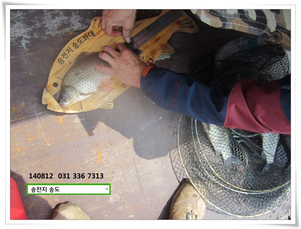 IMG_0008.JPG copy.jpg