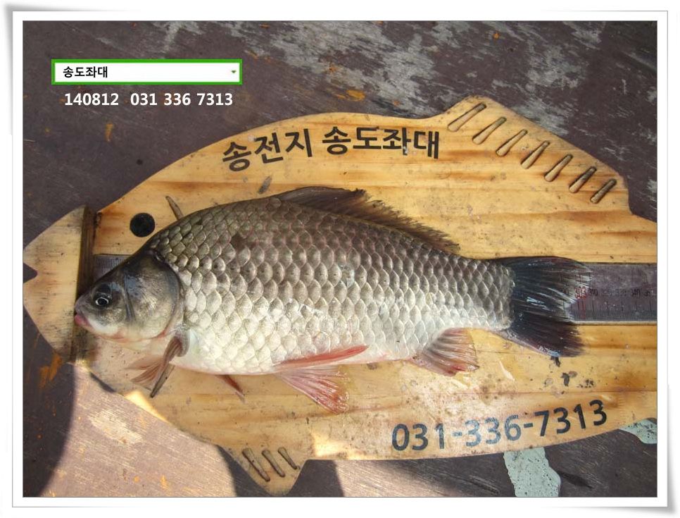 IMG_0010.JPG copy.jpg