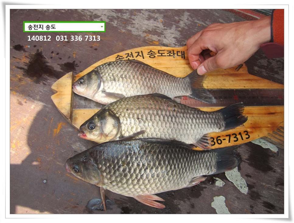 IMG_0017.JPG copy.jpg