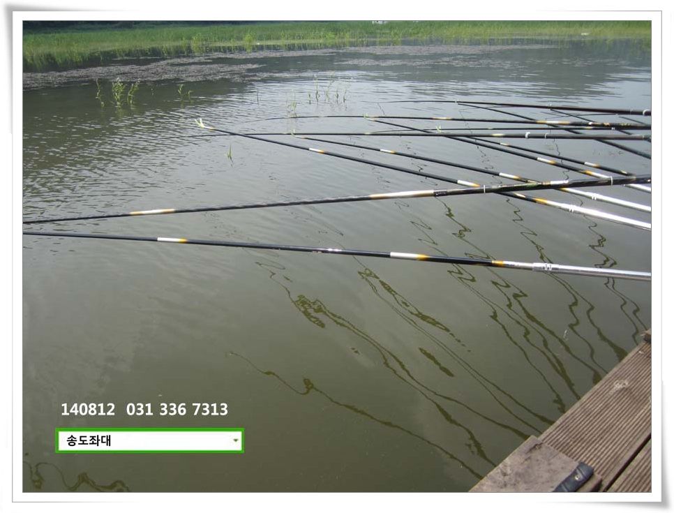 IMG_0020.JPG copy.jpg