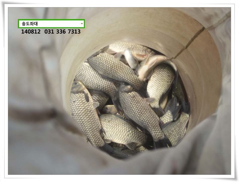 IMG_0027.JPG copy.jpg