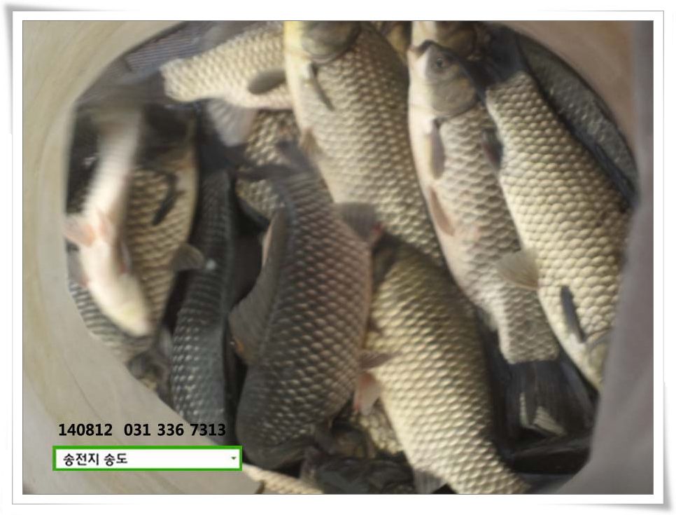 IMG_0030.JPG copy.jpg