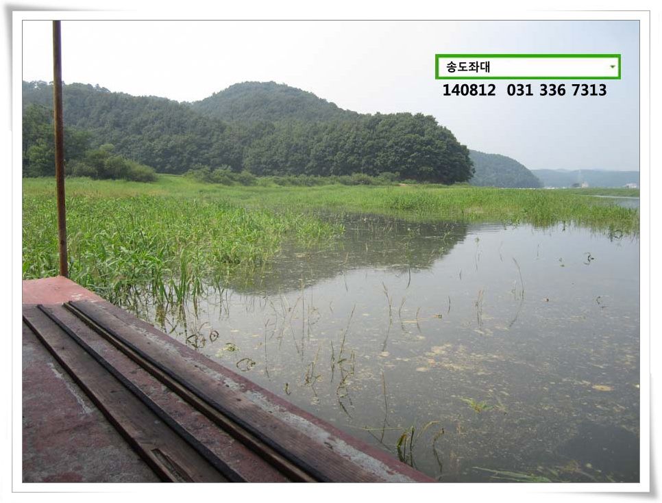 IMG_0034.JPG copy.jpg