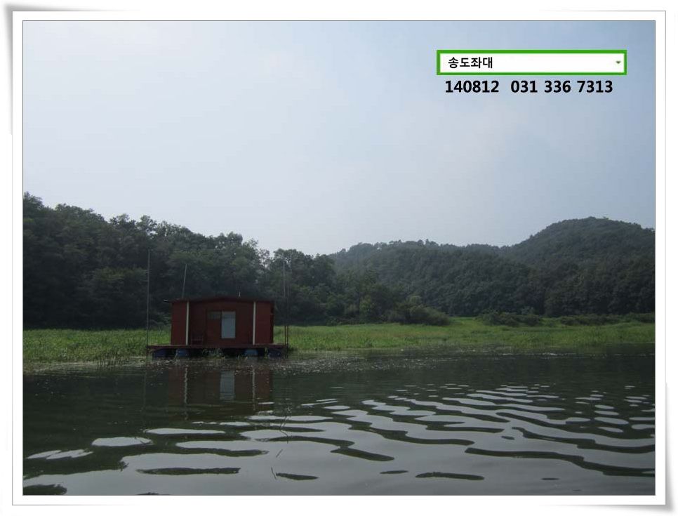 IMG_0038.JPG copy.jpg