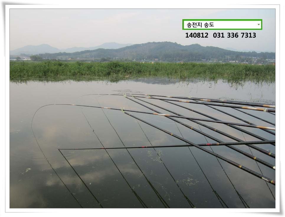 IMG_0046.JPG copy.jpg