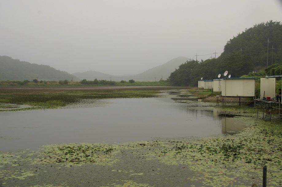 89.jpg