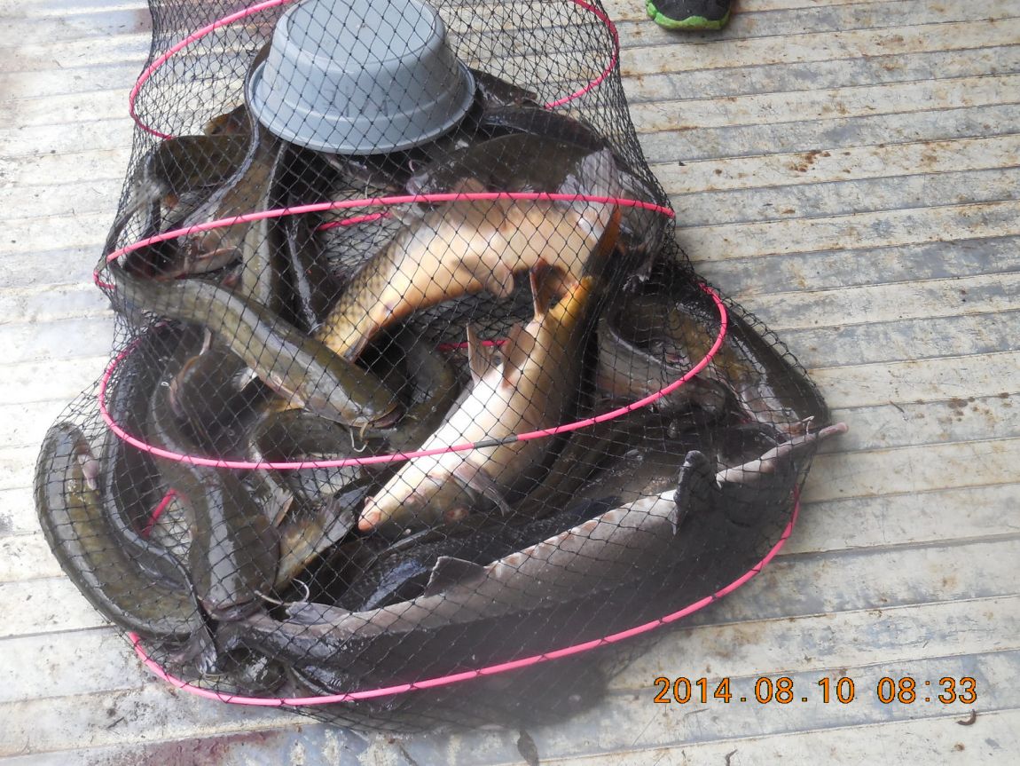 DSCN5652 - ���纻 - ���纻.JPG