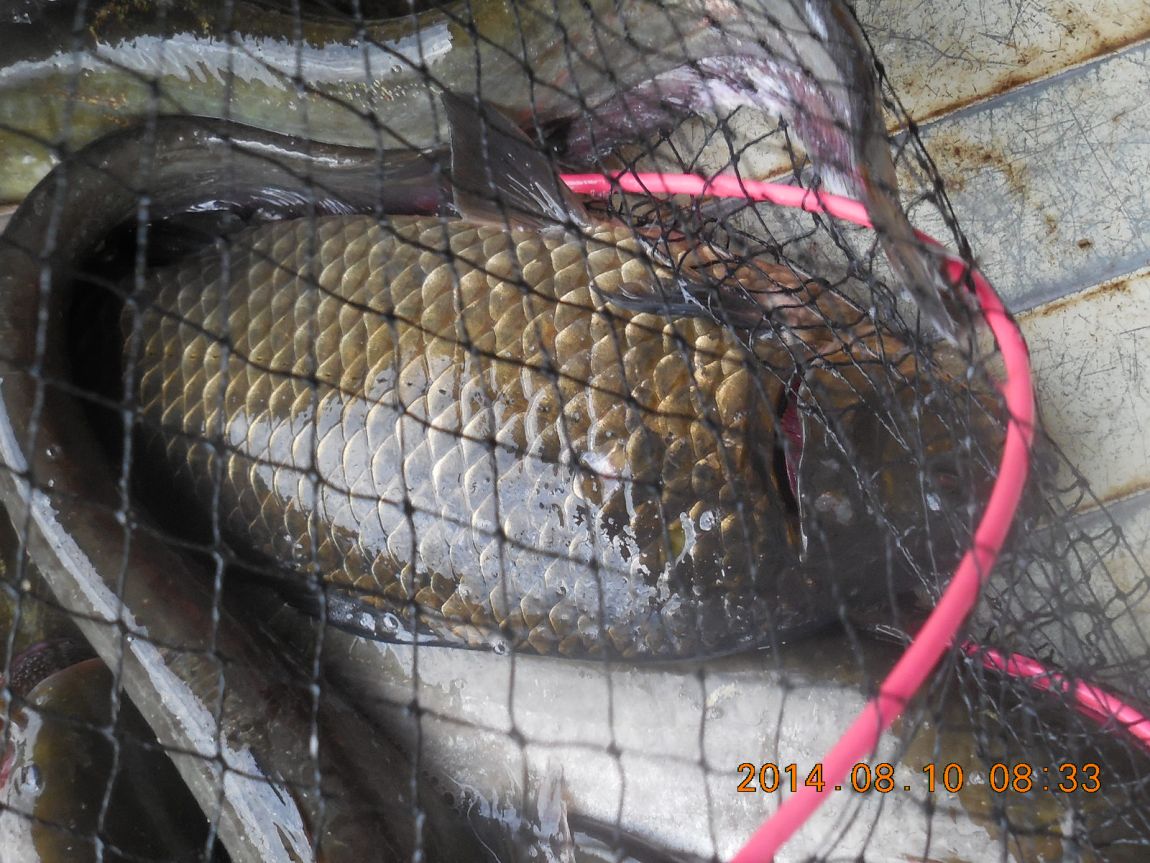 DSCN5660 - ���纻.JPG