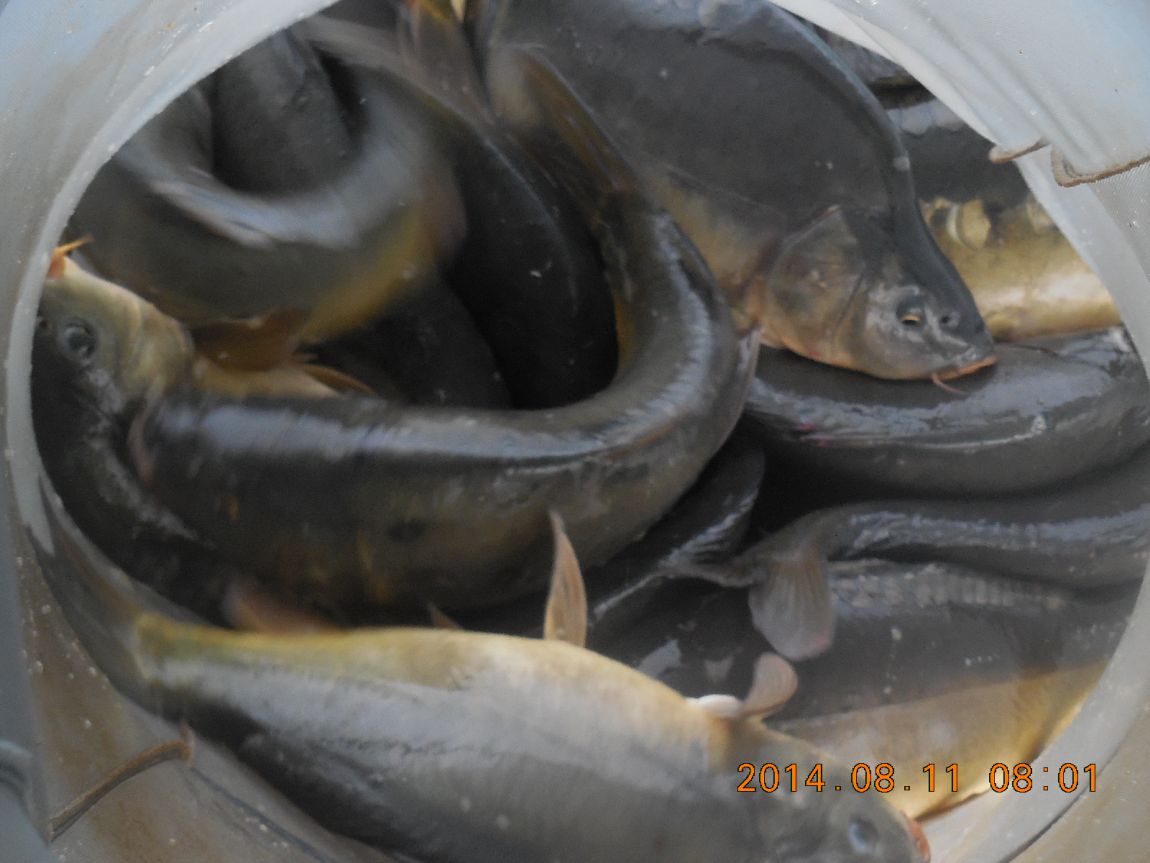 DSCN5673 - ���纻.JPG