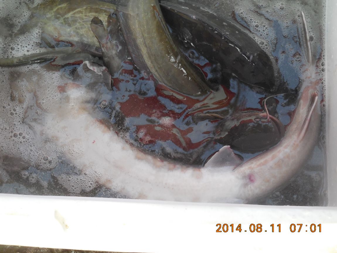 DSCN5664 - ���纻.JPG