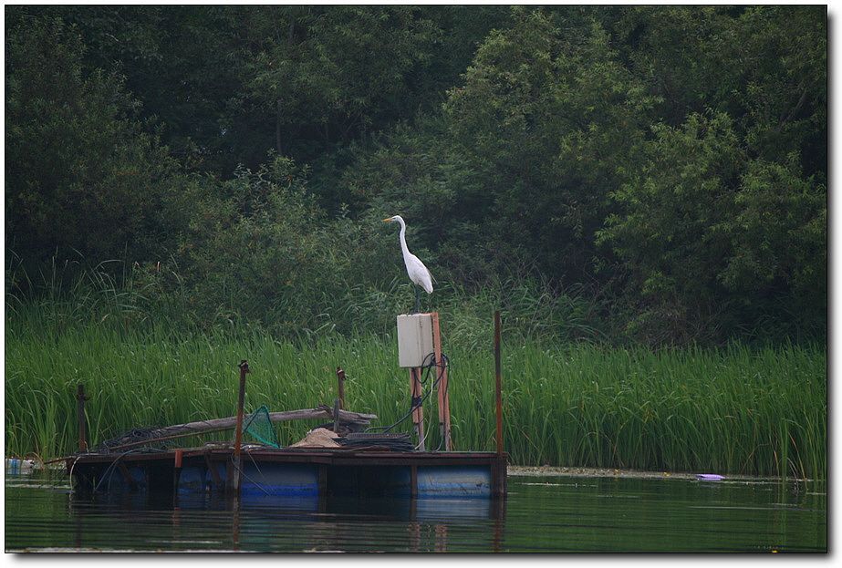 7�������� 2543.jpg