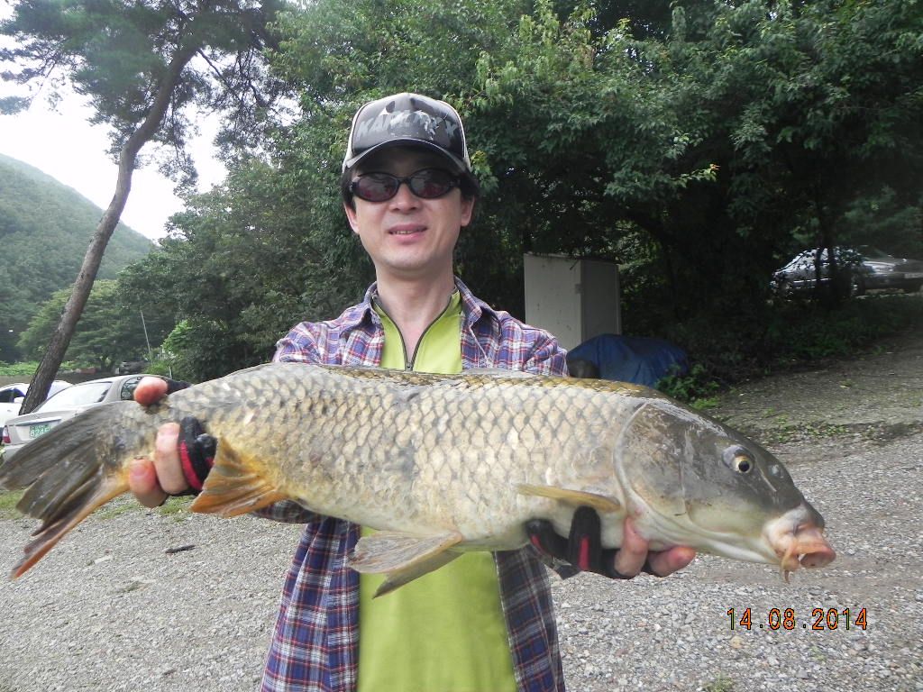 DSCN8495.JPG