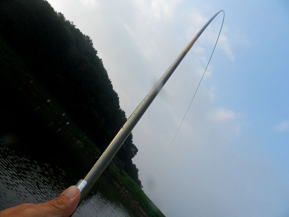 030.JPG
