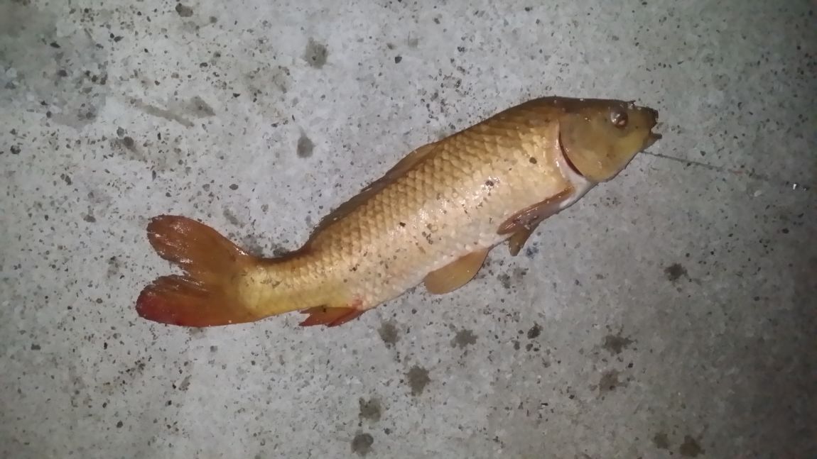 20140729_220739.jpg