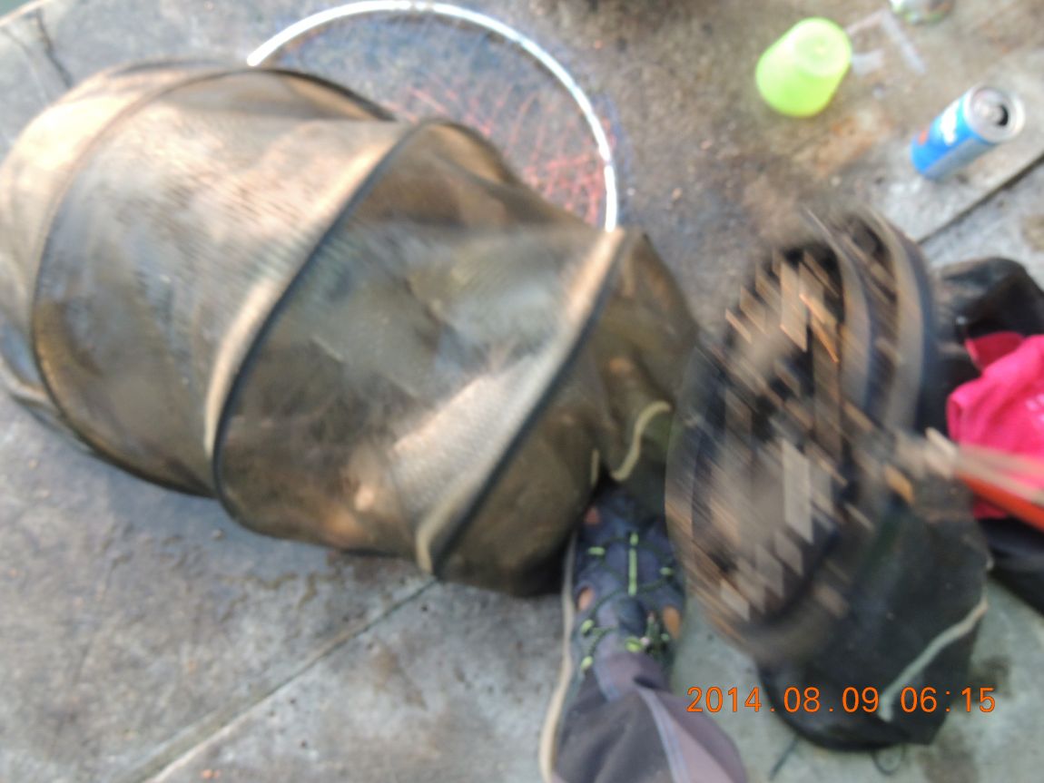 DSCN2390.JPG