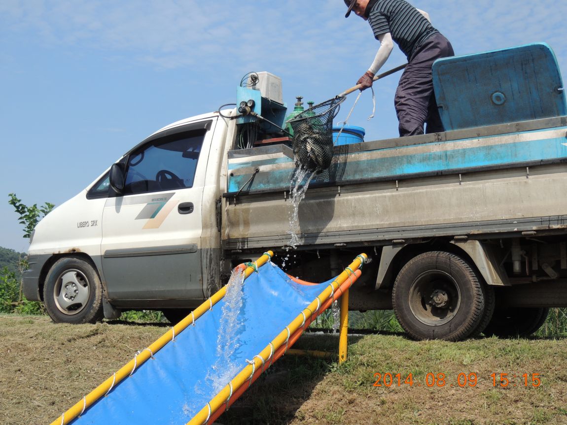 DSCN2396.JPG