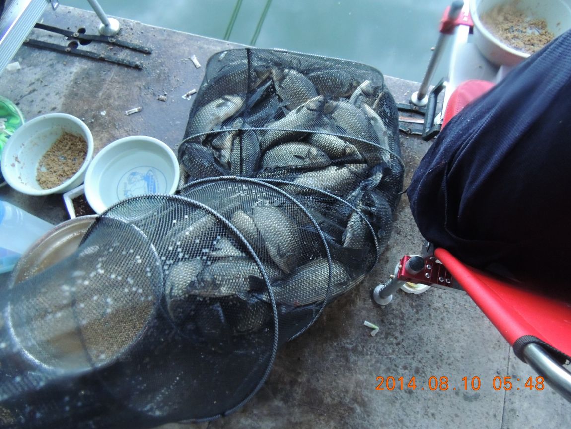 DSCN2430.JPG