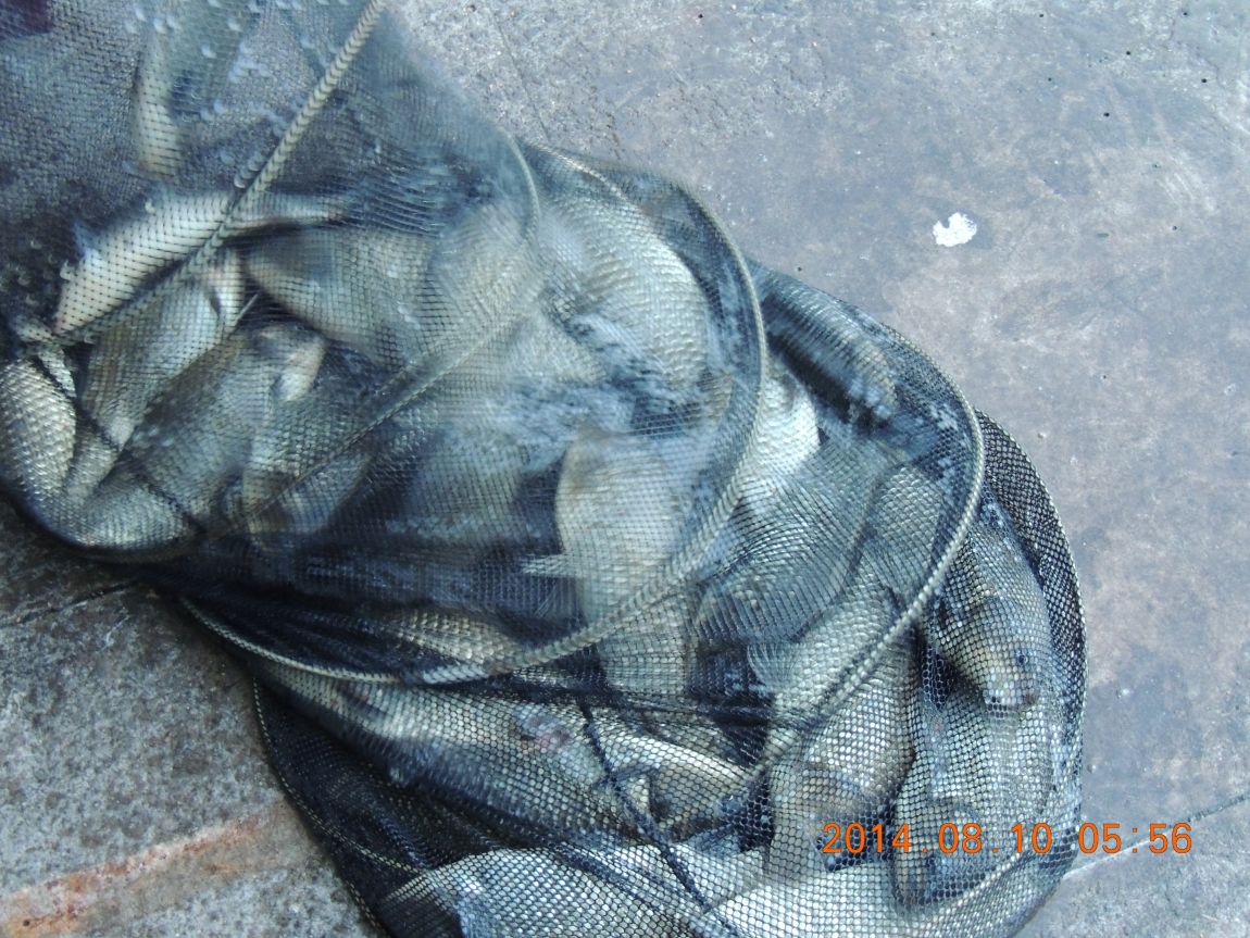 DSCN2438.JPG