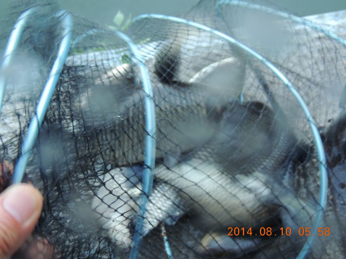 DSCN2439.JPG