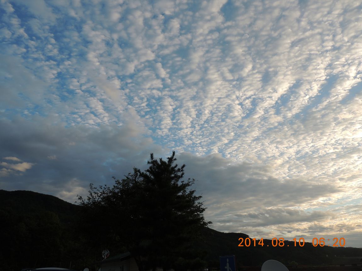 DSCN2444.JPG
