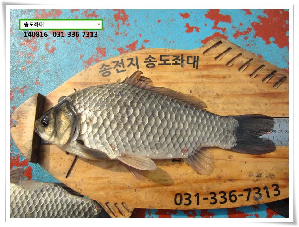 IMG_0016.JPG copy.jpg