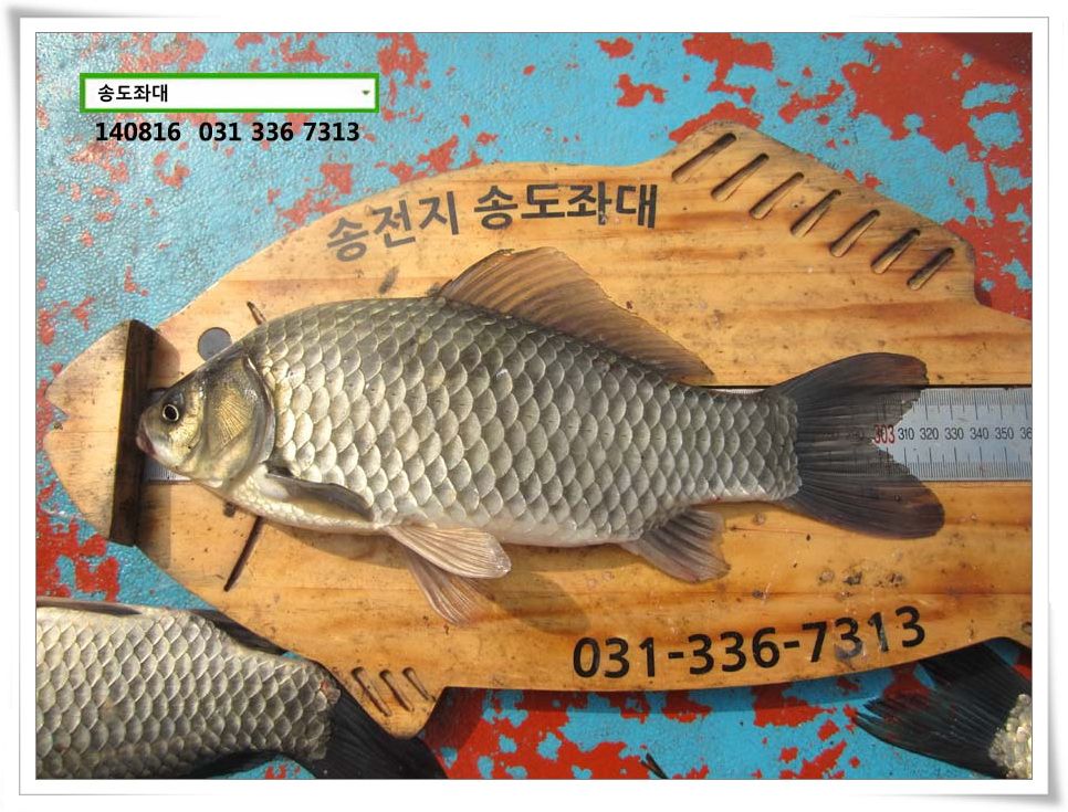 IMG_0017.JPG copy.jpg