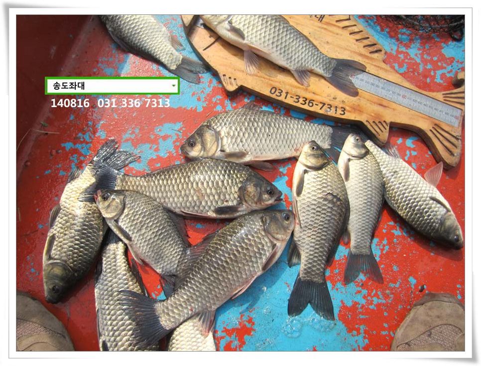 IMG_0019.JPG copy.jpg