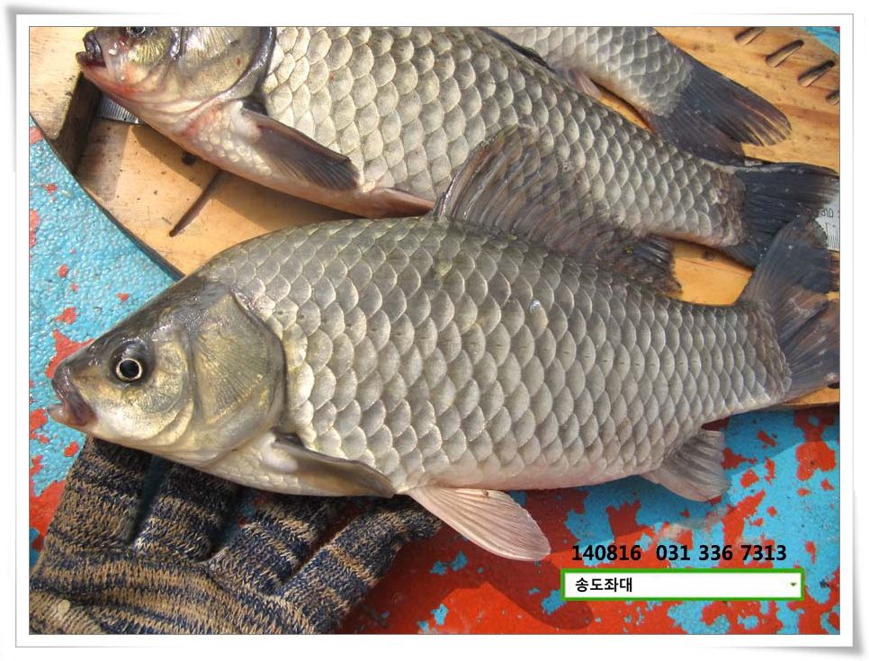 IMG_0024.jpg copy.jpg