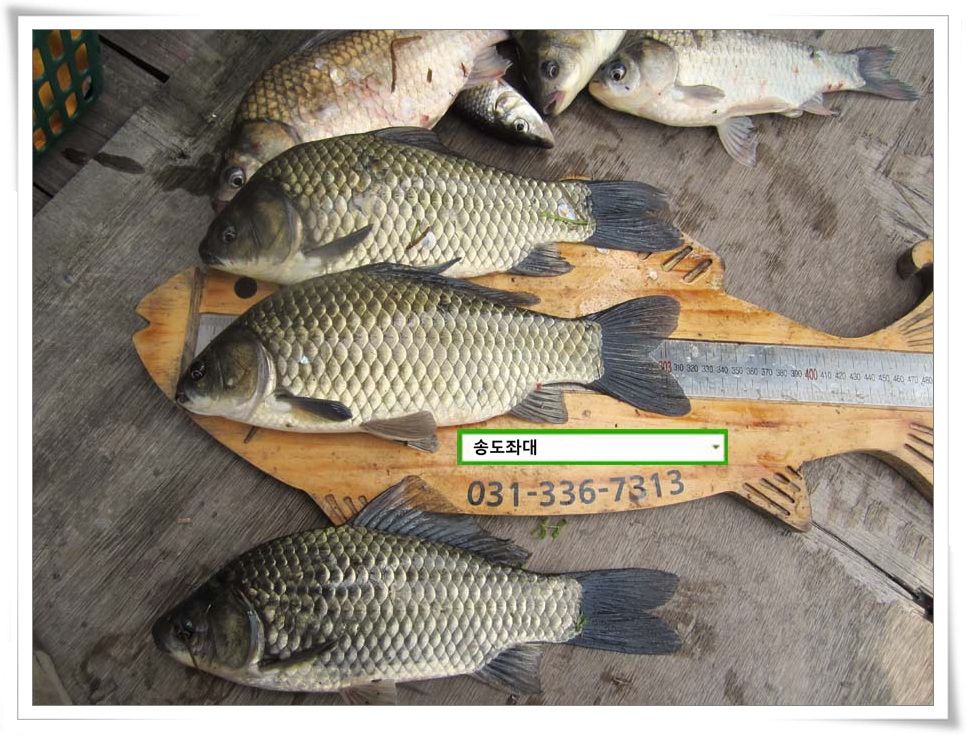 IMG_0038.JPG copy.jpg