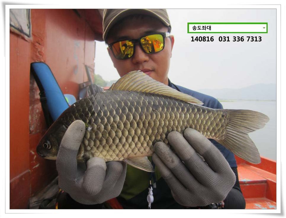 IMG_0044.JPG copy.jpg