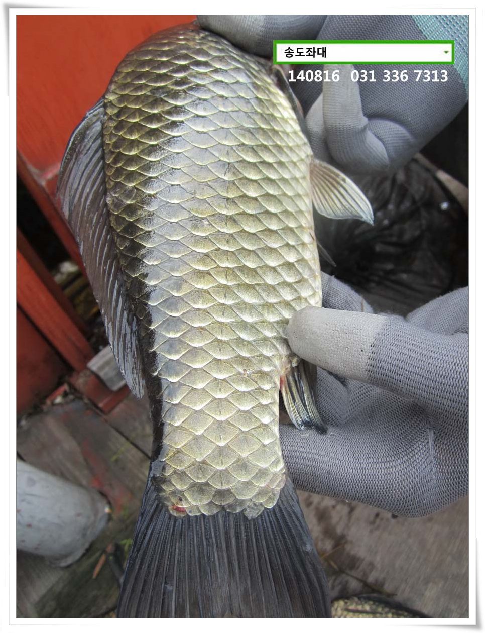 IMG_0049.jpg copy.jpg