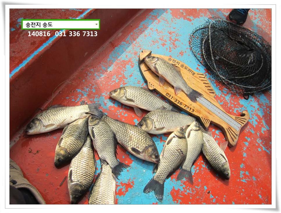 IMG_0020.JPG copy.jpg