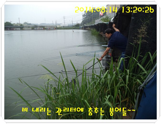 �ٹ̱�_DSC02968.JPG