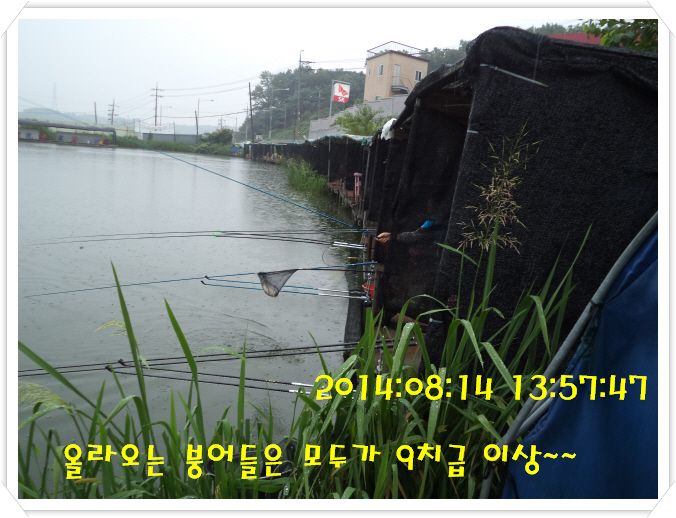 �ٹ̱�_DSC02969.JPG